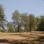 La Spiga D'oro