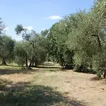 La Spiga D'oro Pozzo (Arezzo)