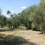 La Spiga D'oro