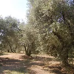 Landsted La Spiga D'oro
