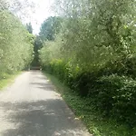 La Spiga D'oro