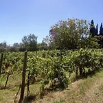 Landsted La Spiga D'oro *