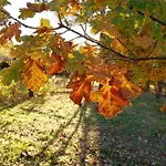 La Spiga D'oro Landsted *