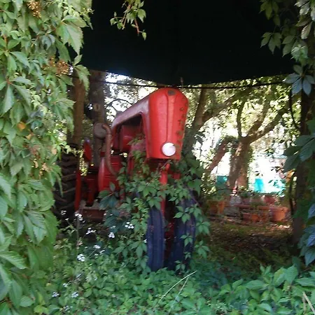 La Spiga D'oro Kır Evi *