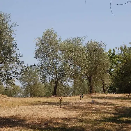 La Spiga D'oro