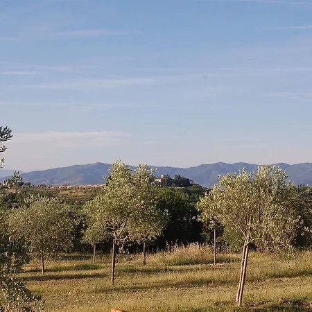 La Spiga D'oro Kır Evi Pozzo (Arezzo)
