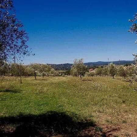 La Spiga D'oro Kır Evi *