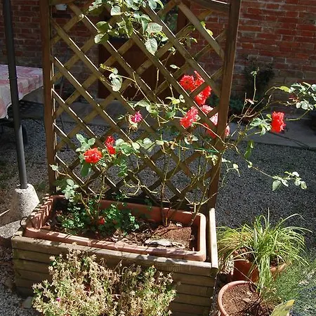 Kır Evi La Spiga D'oro