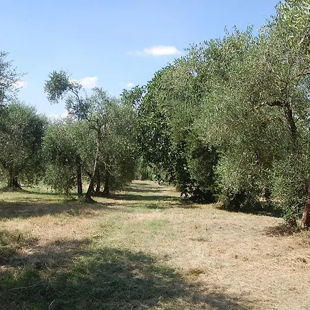 La Spiga D'oro