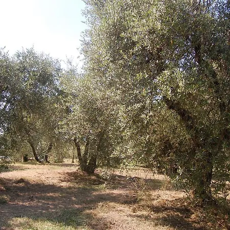Kır Evi La Spiga D'oro