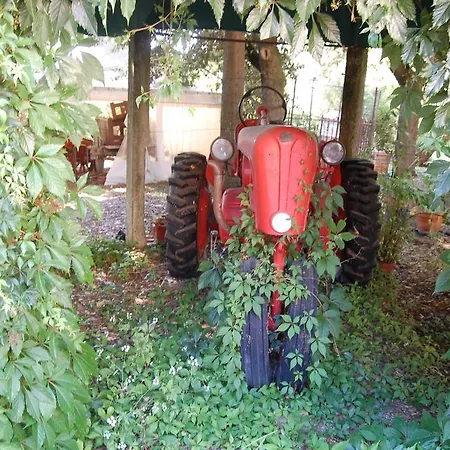 La Spiga D'oro