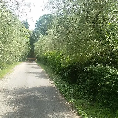 La Spiga D'oro